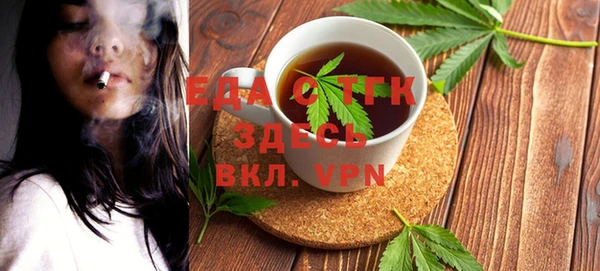 индика Вязники